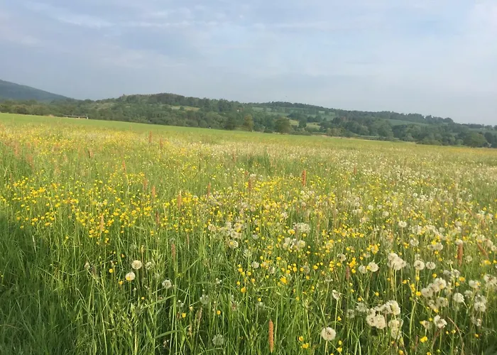 Haus Emma Og Appartement *